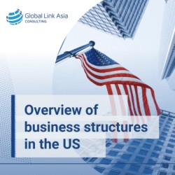 Overview of business structures in the US