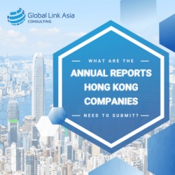 What are the annual reports Hong Kong companies need to submit?